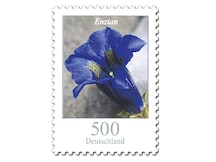 Bild Briefmarke "Dauerserie Blumen - Enzian", 5,00 EUR