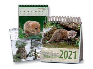 Postkartenkalender Tierkinder