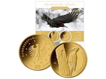 20-Euro-Gold-Numisblatt 2021 "Heimische Vögel - Schwarzspecht"