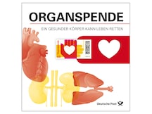 Schmuckblatt Organspende
