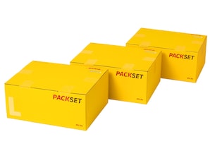PACKSET Gre L - 50er Karton