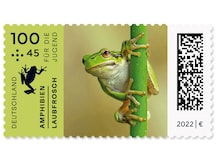 Laubfrosch nach einer Vorlage