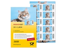 Serie Beliebte Haustiere Katze Sibirisches Kitten