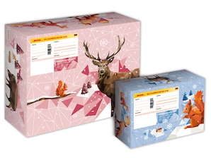 DHL Pluspäckchen M "Weihnachten 2023"