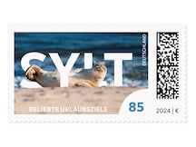 Robbe am Strand von Sylt