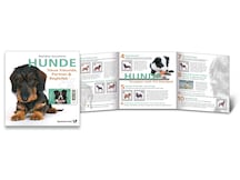 Schmuckblatt Beliebte Haustiere Hunde