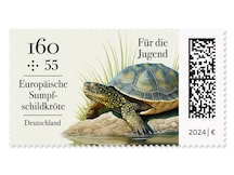 Europäische Sumpfschildkröte am Ufer