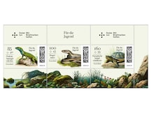 Östliche Smaragdeidechse Ringelnatter und Europäische Sumpfschildkröte