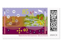 Gegenüberstellung eines trockengelegten und eines wiedervernässten Moores