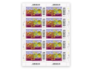 Gegenüberstellung eines trockengelegten und eines wiedervernässten Moores