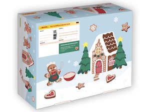 DHL Pluspckchen M "Weihnachten 2024"
