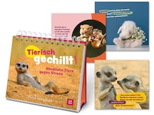 Groh Tischaufsteller Tierisch gechillt!