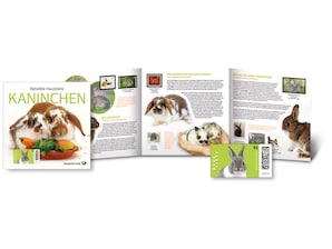 Schmuckblatt "Beliebte Haustiere - Kaninchen"