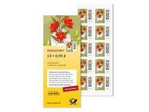Geöffneter Brief, aus dem Blumen ranken