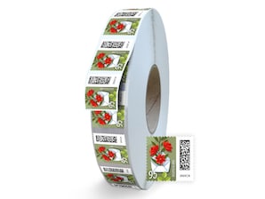 Geffneter Brief, aus dem Blumen ranken