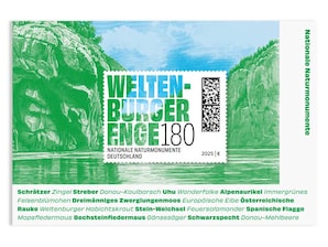 Stahlstich, die Lange Wand bei Wittenburg.