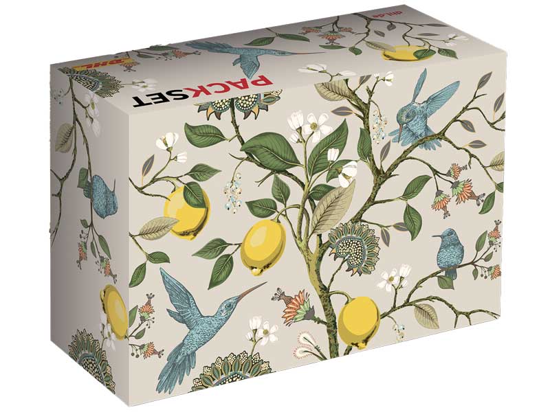 PACKSET S Koolibris Sonderedition Fr�hling 2026