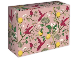 PACKSET M Koolibris Sonderedition Fr�hling 2026