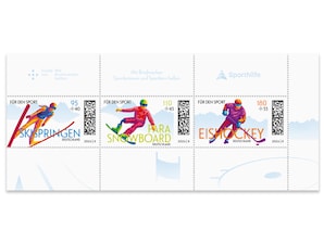 Stilisierte Skispringerin, Para-Snowboarderin und Eishockeyspieler