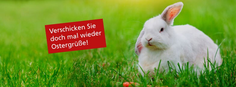 Aktionsbild